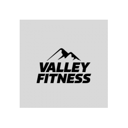 valley fitness logo Valley Fitness logo